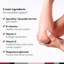 Penetrex Clinically Studied Magnesium Glycinate Supplement for Joint, Muscle & Nerve Support - Comfort in 5 Days with Advanced Boswellia Serrata Extract, Vitamin D, B, C (60 Count, 1 Month Supply)