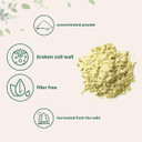 Pure Pine Pollen Powder, 6 Ounce, Wild Harvest an Broken Cell Wall, Supports Immune System Health, Boosts Energy, Antioxidant & Androgenic, No GMOs, Vegan Friendly