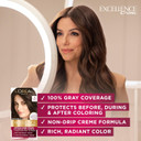 L'Oreal Paris Excellence Creme Permanent Hair Color, 4 Dark Brown, 100 Percent Gray Coverage Hair Dye, Pack Of 24 Dark Brown L'Oreal Paris Excellence Creme Permanent Hair Color, 4 Dark Brown, 100 Percent Gray Coverage Hair Dye, Pack Of 24 Dark Brown