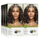 Naturtint Permanent Hair Color 4N Natural Chestnut (Pack Of 6), Ammonia Free, Vegan, Cruelty Free, Up To 100% Gray Coverage, Long Lasting Resultsnatural Chestnut5.75 Fl Oz (Pack Of 6)