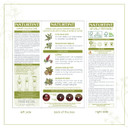 Naturtint Permanent Hair Color 5R Fire Red (Previously 9R) (Pack Of 1), Ammonia Free, Vegan, Cruelty Free, Up To 100% Gray Coverage, Long Lasting Results9R Fire Red1 Count (Pack Of 1)