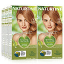 Naturtint Permanent Hair Color 8C Copper Blonde (Pack Of 6), Ammonia Free, Vegan, Cruelty Free, Up To 100% Gray Coverage, Long Lasting Results8C Copper Blonde1 Count (Pack Of 6)