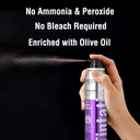 Kiss Temporary Hair Color Spray Hair Dye Spray Hair Styling Spray One Day Instant Fast-Drying Washable Halloween Party Diy Cosplay Hair Accessories (Vivid Violet)Vivid Violet