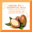 Cantu Leave-In Conditioning Repair Cream With Argan Oil, 16 Oz (Packaging May Vary)