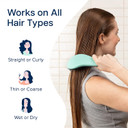Crave Naturals Glide Thru Detangling Brush For Adults & Kids - Hair Detangler Brush For Natural, Curly, Straight, Wet Or Dry Hair - Hairbrush For Men & Women, Stocking Stuffers For Kids, Turquoiseturquoise