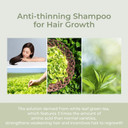 Amos Professional The Green Tea Scalp Essential Tonic 2.7 Oz (80Ml) | Anti-Hair Loss Intensive Nourishment Treatment | Korean Hair Salon Brandrenewal