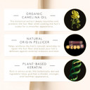 Rene Furterer Absolue Keratine Repairing Beauty Cream For Damaged, Over-Processed Hair3.3 Fl Oz (Pack Of 1)