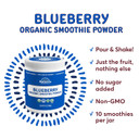 Natierra Blueberry Organic Smoothie Powder | Usda Organic, Vegan & Non-Gmo | 7 Oz Jar7 Ounce (Pack Of 1)