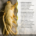 Irwin Naturals Triple-Boost Caffeine-Free Energy - Lasting, Jitter-Free Focus - Brain Boosting Nootropic - 75 Liquid Softgels