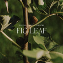 Antica Farmacista Home Ambiance Diffuser, 8.45 Fl Oz, Fig Leaf