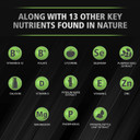 Urinozinc Plus - Prostate Supplement With Beta Sitosterol & Saw Palmetto  Reduce Frequent Urination Concerns & Support Your Prostate Health, 60 Caplets