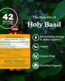 Herb Pharm Certified Organic Holy Basil (Tulsi) Extract For Energy And Vitality, 1 Ounce (Dbas01)