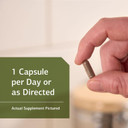 Standard Process Opc Synergy - Whole Foods Cognitive Health, Brain Health And Brain Support, Eye Support And Eye Health With Bilberry, Grape Seed Extract, Green Tea Powder, And More - 40 Capsules