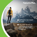 Naturesplus Herbal Actives Astragalus - 450 Mg, 60 Vegan Capsules - 60 Servings