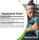 Naturesplus Herbal Actives Astragalus - 450 Mg, 60 Vegan Capsules - 60 Servings