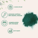 Micro Ingredients Organic Chlorella Powder, 10 Ounce, Broken Cell Wall, Rich In Vegan Proteins & Vitamins, Raw, Bulk Premium Chlorella Supplement, Vegan Friendly, Non-Irradiation10 Ounce (Pack Of 1)