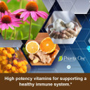 Priority One Vitamins Chlorella 180 Vegetarian Capsules Healthy Immune System Support