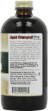 Dynamic Health Liquid Chlorophyll 100Mg, 16-Ounce