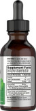 Liquid Chlorophyll Drops | 2 Oz | Vegan, Non-Gmo, And Gluten Free Formula | Natural Peppermint Flavor | By Horbaach