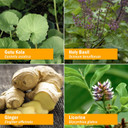 Herb Pharm Herbs On The Go Portable Spray, Everyday Focus, 1 Fl Oz