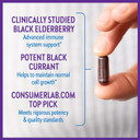 New Chapter Vegan Elderberry Capsules With 64X Concentrated Black Elderberry + Black Currant For Comprehensive Immune Support, Non-Gmo Project Verified, Gluten Free, Certified Vegan, 60 Count