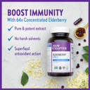 New Chapter Vegan Elderberry Capsules With 64X Concentrated Black Elderberry + Black Currant For Comprehensive Immune Support, Non-Gmo Project Verified, Gluten Free, Certified Vegan, 60 Count