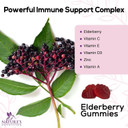 Premium Sambucus Elderberry Gummies With Vitamin C And Zinc, Immune Support Gummy Vitamin Supplement, Natureã¢ÂS Black Elderberry For Adults & Kids - Elder Berry Vitamins, Non-Gmo - 120 Gummies120 Count (Pack Of 1)