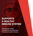 Protocol Sambucus Black Elderberry Liquid - 10:1 Concentrate - 500 Mg Per Serving - 8 Fl Oz