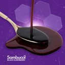 Sambucol Black Elderberry Advanced Immune Syrup With Vitamin C And Zinc, High Antioxidant Sambucus Elderberry Supplement For Adults And Kids Ages 4+, Gluten Free And Vegan, 4 Fl Oz