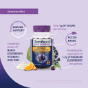 Sambucol Black Elderberry Gummies With Vitamin C & Zinc - Sambucus Elderberry Gummies For Immune Support, High Antioxidants, Gluten Free, Vegan, Elderberry With Zinc & Vitamin C For Adults - 60 Count60 Count (Pack Of 1)