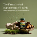 Gaia Herbs Ginger Supreme - Supports Healthy Digestion And Relieves Occasional Nausea - With Organic Ginger Root And Turmeric Root - 60 Vegan Liquid Phyto-Capsules (60-Day Supply)