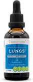 Secrets Of The Tribe Lungs Alcohol-Free Extract, Tincture, Glycerite Osha, Peppermint, Eucalyptus, Lungwort, Cordyceps, Ginger, Licorice. Healthy Lungs Formula (2 Fl Oz)