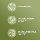 Dr. Mercola Organic Ginkgo Biloba With Coffee Fruit Extract Dietary Supplement, 30 Servings Per Container (30 Capsules), Supports Mitochondrial Health As Well As Brain And Cognitive Function