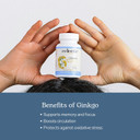 Eclectic Institute Raw Freeze-Dried Ginkgo | Circulatory Support, Supports Brain Function, Concentration & Memory | 120 Ct