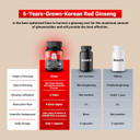 Cheongkwanjang [Korean Red Ginseng Extract Capsules Plus -All-In-1 Focus Pills For Men & Women, Natural Energy Supplements,Circulation, Immune Support, Brain Booster - 30 Capsules