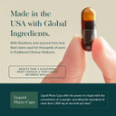 Gaia Herbs Eleuthero Root - Energy, Stamina & Mental Endurance Support - Eleuthero Root (Siberian Ginseng) Adaptogen Herbal Supplement - 60 Vegan Liquid Phyto-Capsules (30-Day Supply)