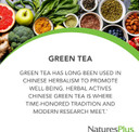 Naturesplus Herbal Actives Chinese Green Tea, Extended Release - 750 Mg - Overall Well-Being - 30 Vegetarian Tablets (30 Servings)