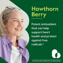 Bestvite Hawthorn Berry 600Mg Per Capsule (240 Vegetarian Capsules) - No Stearates - No Fillers - Vegan - Non Gmo - Gluten Free
