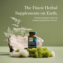 Gaia Herbs Kava Root - Helps Sustain A Sense Of Natural Calm And Relaxation* During Times Of Stress - Made With Noble Kava Cultivars - 60 Vegan Liquid Phyto-Capsules (20-Day Supply)