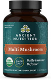 Ancient Nutrition Mushroom Supplement, Organic Multi Mushroom Immune Support Tablet, Supports Stress Response, Gluten Free, Paleo And Keto Friendly, 60 Count