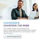 Dr. Emil Mushroom Coffee For Focus & Energy - Instant Coffee With Lions Mane, Chaga & Cordyceps - Delicious Caramel Flavor & Potent Mushroom Powder Blend