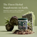 Gaia Herbs Organic Sleep Gummies, Sleep Support, Ashwagandha, Organic Reishi Mushroom, Passionflower, Usda Certified Organic, Non-Gmo, Gluten Free, Vegan, 40 Count