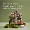 Gaia Herbs Reishi Mushroom - Helps Maintain A Healthy Immune System & Supports Heart Health - Adaptogen Herbal Supplement For Longevity Support - 40 Vegan Liquid Phyto-Capsules (40-Day Supply)