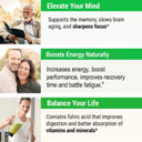 Sayan Siberian Chaga Mushroom Extract With Shilajit Powder 2Oz/56G, A Powerful Antioxidant Fulvic Acid Supplement & Immune System Health Boosterchaga Extract + Shilajit