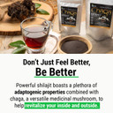 Sayan Siberian Chaga Mushroom Extract With Shilajit Powder 2Oz/56G, A Powerful Antioxidant Fulvic Acid Supplement & Immune System Health Boosterchaga Extract + Shilajit