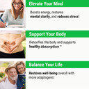 Sayan Siberian Wild Sustainably Harvest Organic Chaga Mushroom Extract Powder 4Oz /113G Immune System And Energy Booster, Antioxidant Tea For Focus, And Mental Clarity, Vegan Instant Coffee Mixchaga Extract4 Ounce (Pack Of 1) Sayan Siberian Wild Sustainably Harvest Organic Chaga Mushroom Extract Powder 4Oz /113G Immune System And Energy Booster, Antioxidant Tea For Focus, And Mental Clarity, Vegan Instant Coffee Mixchaga Extract4 Ounce (Pack Of 1)