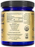 Sun Potion Lionã¢ÂS Mane (Organic) - Mind Power Mushroom (100G)