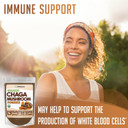 Xprs Nutra Organic Chaga Mushroom Powder - Premium Usda Organic Chaga Mushrooms Powder - Chaga Powder Supports Immune Health - Vegan Friendly Superfood For Chaga Tea And Beverages (16 Oz)1.00 Pound (Pack Of 1)