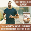 Xprs Nutra Organic Chaga Mushroom Powder - Premium Usda Organic Chaga Mushrooms Powder - Chaga Powder Supports Immune Health - Vegan Friendly Superfood For Chaga Tea And Beverages (16 Oz)1.00 Pound (Pack Of 1)