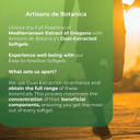 Artisans De Botanica Mediterranean Extract Oil Of Oregano Carvacrols Defense 120 Softgel Caps Respiratory Health Digestion Support Dual Extraction For Max Bioavailability All Natural Ingredients